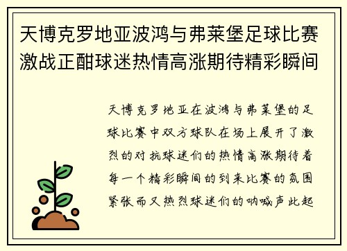 天博克罗地亚波鸿与弗莱堡足球比赛激战正酣球迷热情高涨期待精彩瞬间