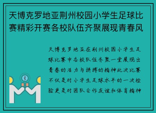 天博克罗地亚荆州校园小学生足球比赛精彩开赛各校队伍齐聚展现青春风采