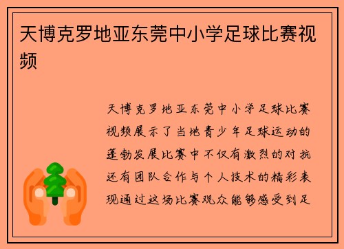天博克罗地亚东莞中小学足球比赛视频